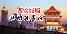 欧美老屄孕妇与小屌配合视频中国陕西-西安城墙旅游风景区