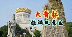 爆插淫荡女仆中国浙江-绍兴大香林旅游风景区